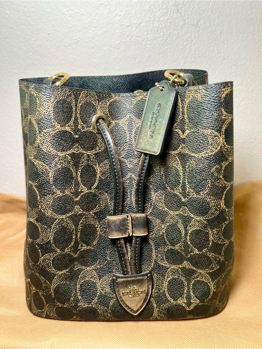 Coach Rowan Loved Signature Bucket Bag